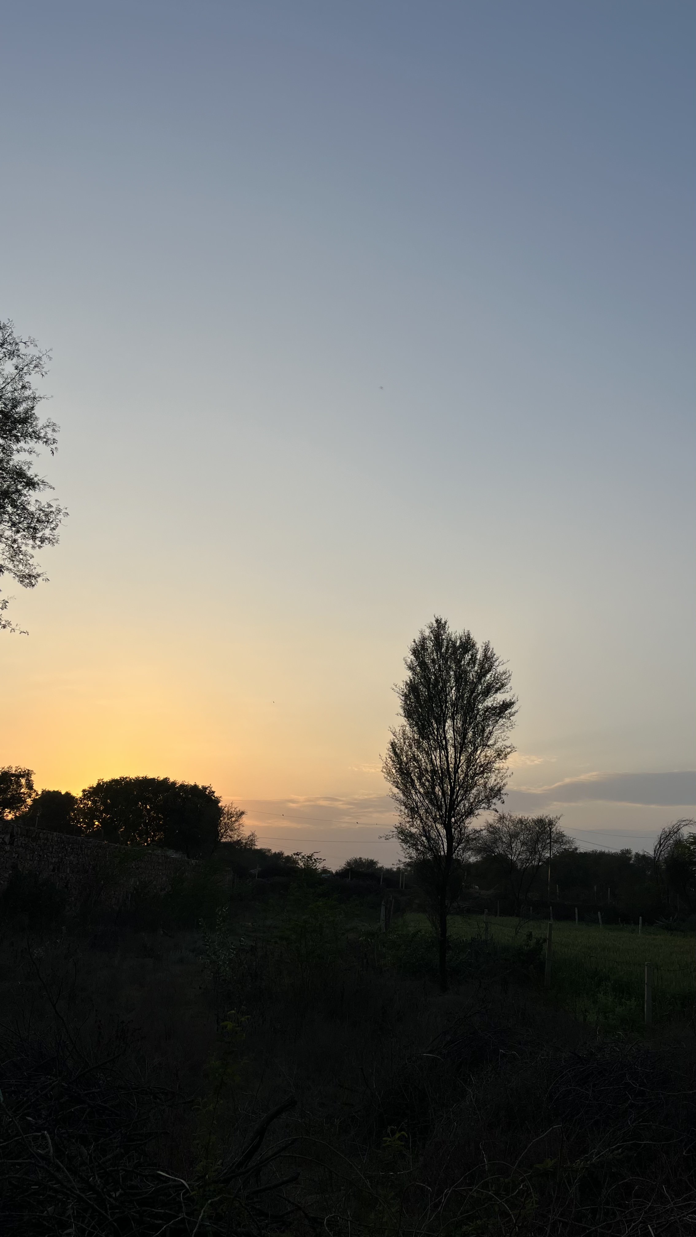 Image 15